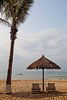 soi cầu bạch thủ đề