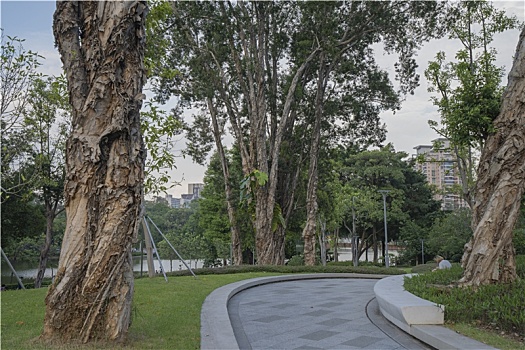 xổ số phương trang