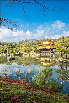 soi cau chuan mb mien phi