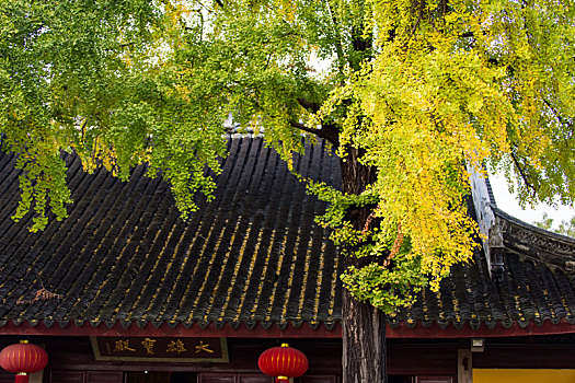 du doan than tai mn
