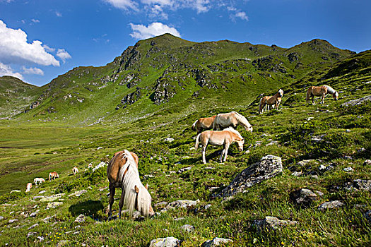 soi cau du doan xo so ba mien