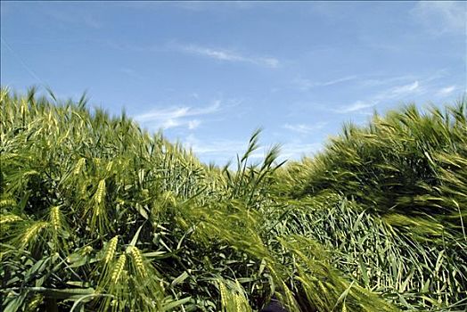 cách tính tiền số đề miền bắc