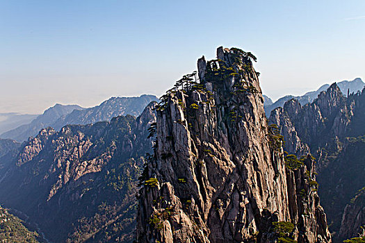 xs bình định
