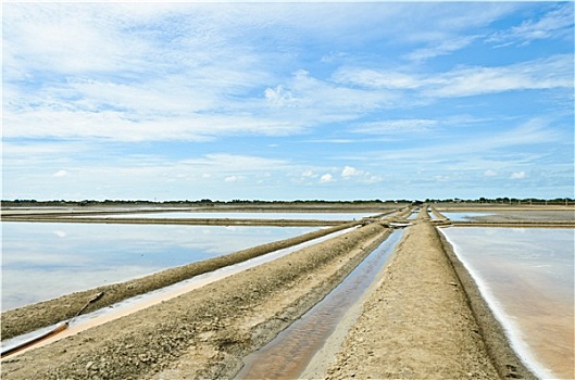 lô gan miền bắc hôm nay