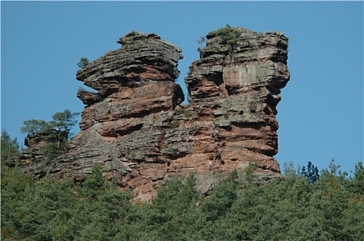 lo de rong vang bach kim