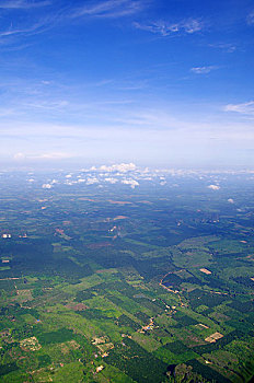 tuyet chieu soi cau