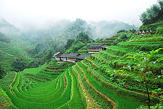 xổ số miền bắc 100 ngày gần đây