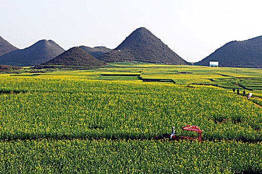 xin số lô đề hôm nay