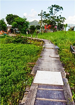 soi lô miền bắc hôm nay