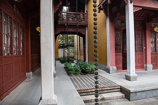 soi cau rong bach kim 247