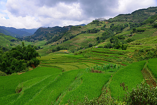 soi cau lo de sieu chuan