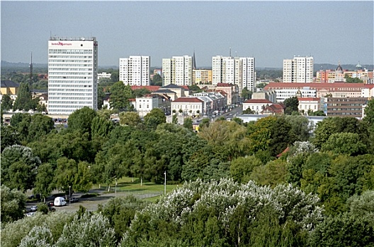soi cau ag