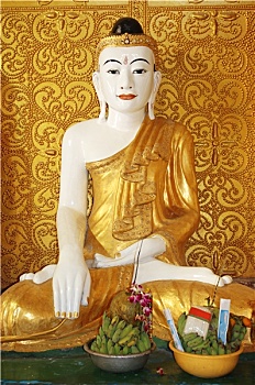 cầu bạch thủ long an