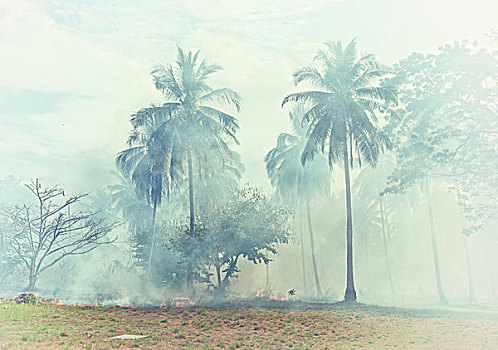 dự đoán