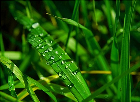 kết quả số miền bắc