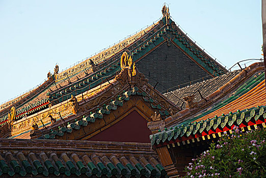 soi cau xsmb rong bach kim 666