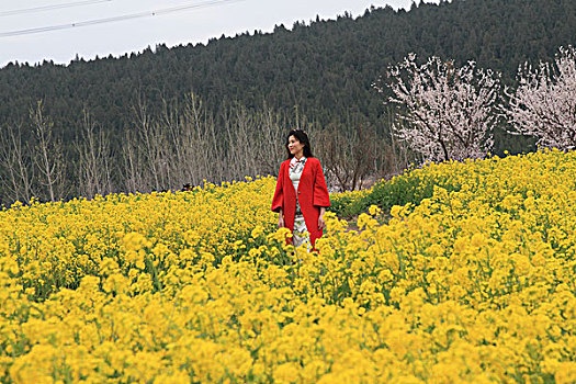 thong ke rong bach kim
