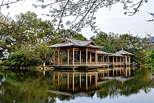 cầu lô đề miền nam