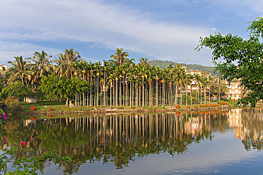 soi bạch thủ lô miền bắc