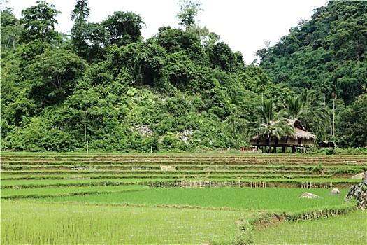 đánh lô trên mạng