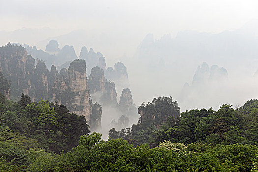 soi cau 3