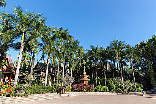 soi cau 366