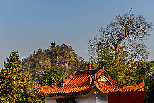 cách soi đề