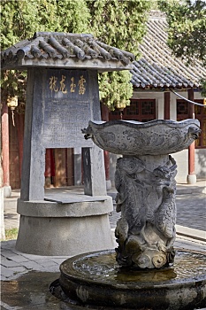 soi cầu rong bach kim