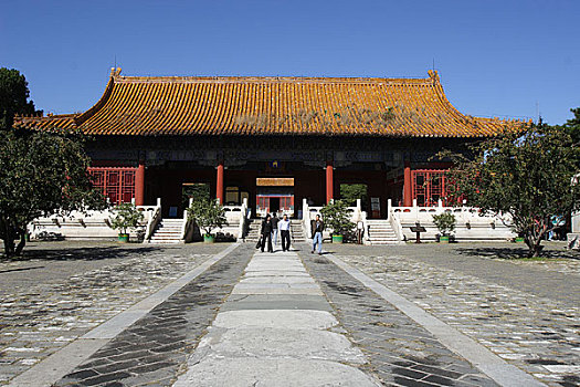 lô bạch thủ là mấy con