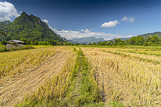 soi cau dac biet 368