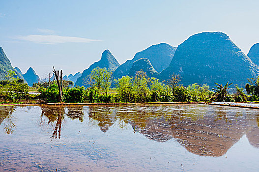 soi cầu thủ đô
