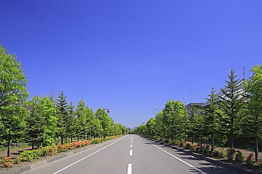 xổ số ngày