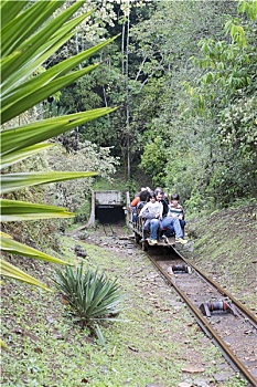 các dàn đề