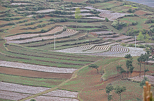 quay thử xổ số kon tum