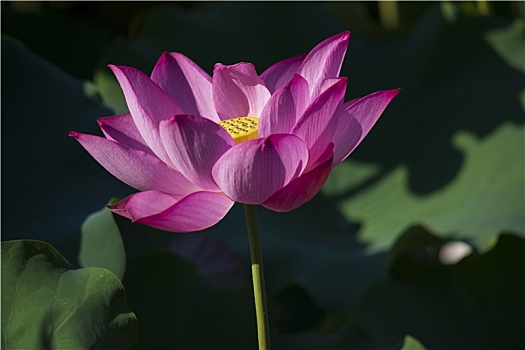 dự đoán lô đề chính xác