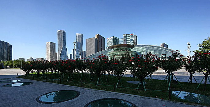 soi cau bach kim 888