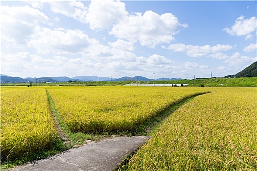 cầu lô ba miền