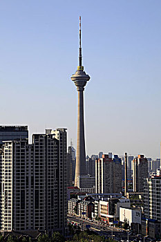 soi cau 466