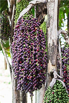 xổ số miền bắc soi cầu thống kê