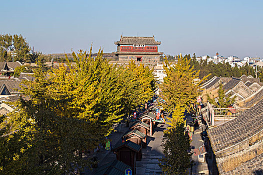 soi cau lo bach thu khung 5 ngay