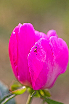 bí quyết đánh lô miền bắc