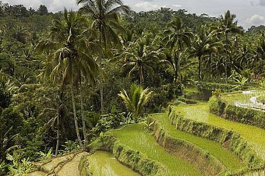 xổ số thứ sáu hàng tuần