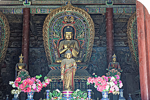 soi cau sieu chuan