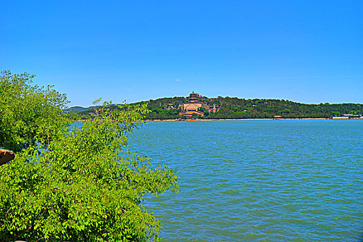 soi cau qtri