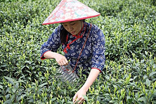 xổ số thứ tư hàng tuần