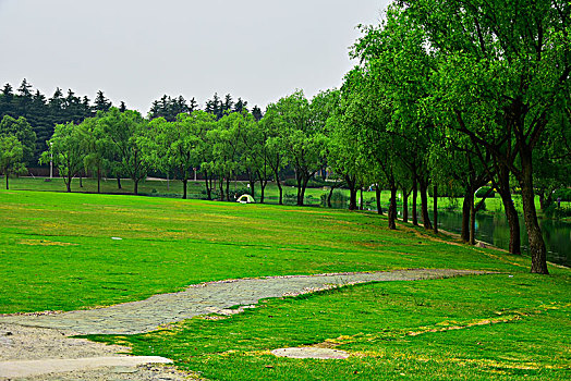 dự đoán xổ số gia lai