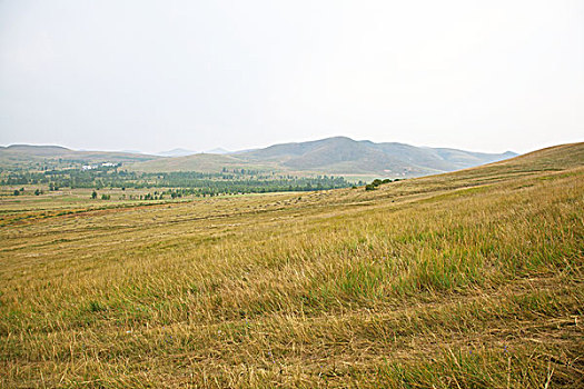 xsmn thu nam