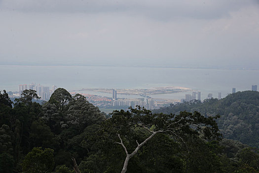 choi so de lam giau