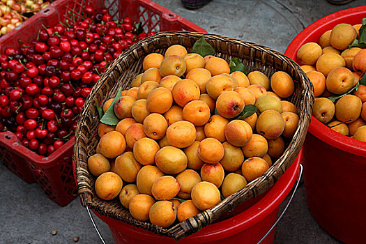 lô chuẩn miền bắc