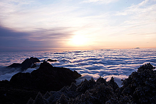 xổ số trà vinh